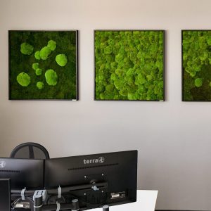 Steuerkanzlei_Stoelzel_Bueroraeume3-aspect-ratio-300x300